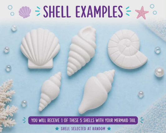 Selection of shell designs included in mermaid craft kit shell chosen at random